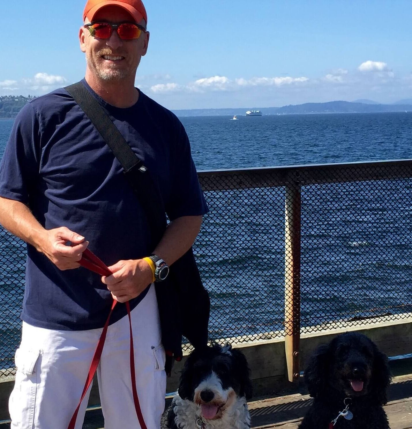 a group of dogs are standing and sitting on the ground