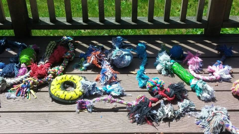 A bunch of rope toys are sitting on a wooden table.