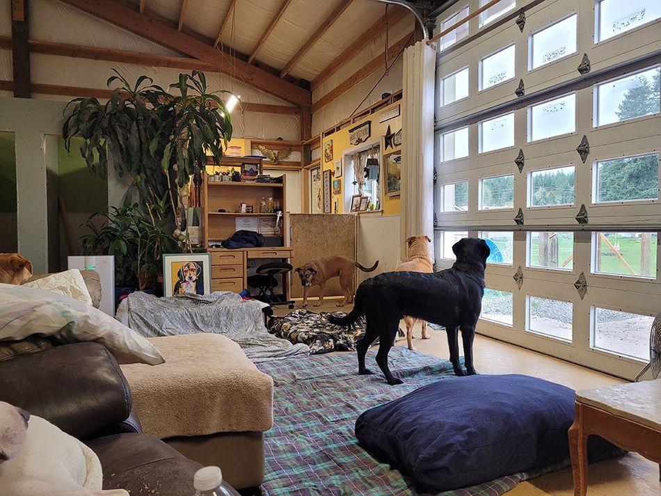 A black dog is standing in a living room next to a garage door.