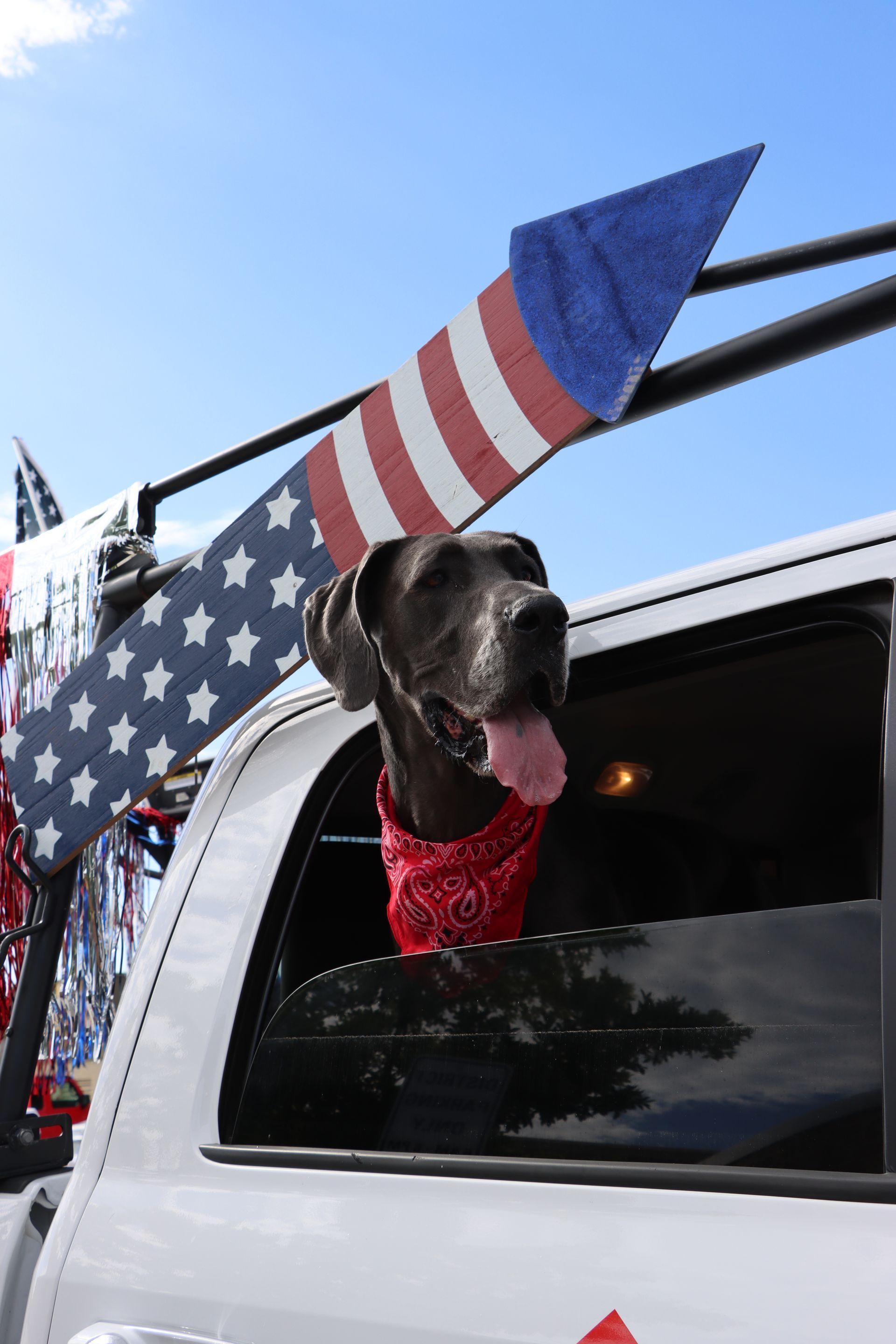 A dog wearing a red bandana is sticking its head out of a truck window.