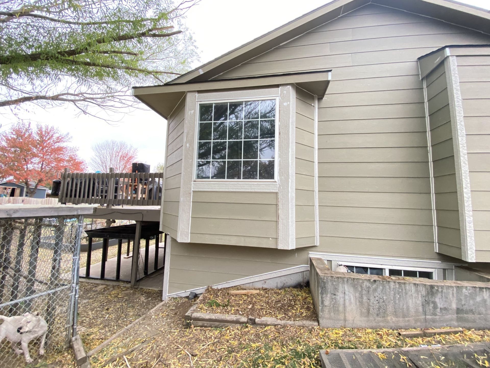 A dog is standing in front of a house with a large window.