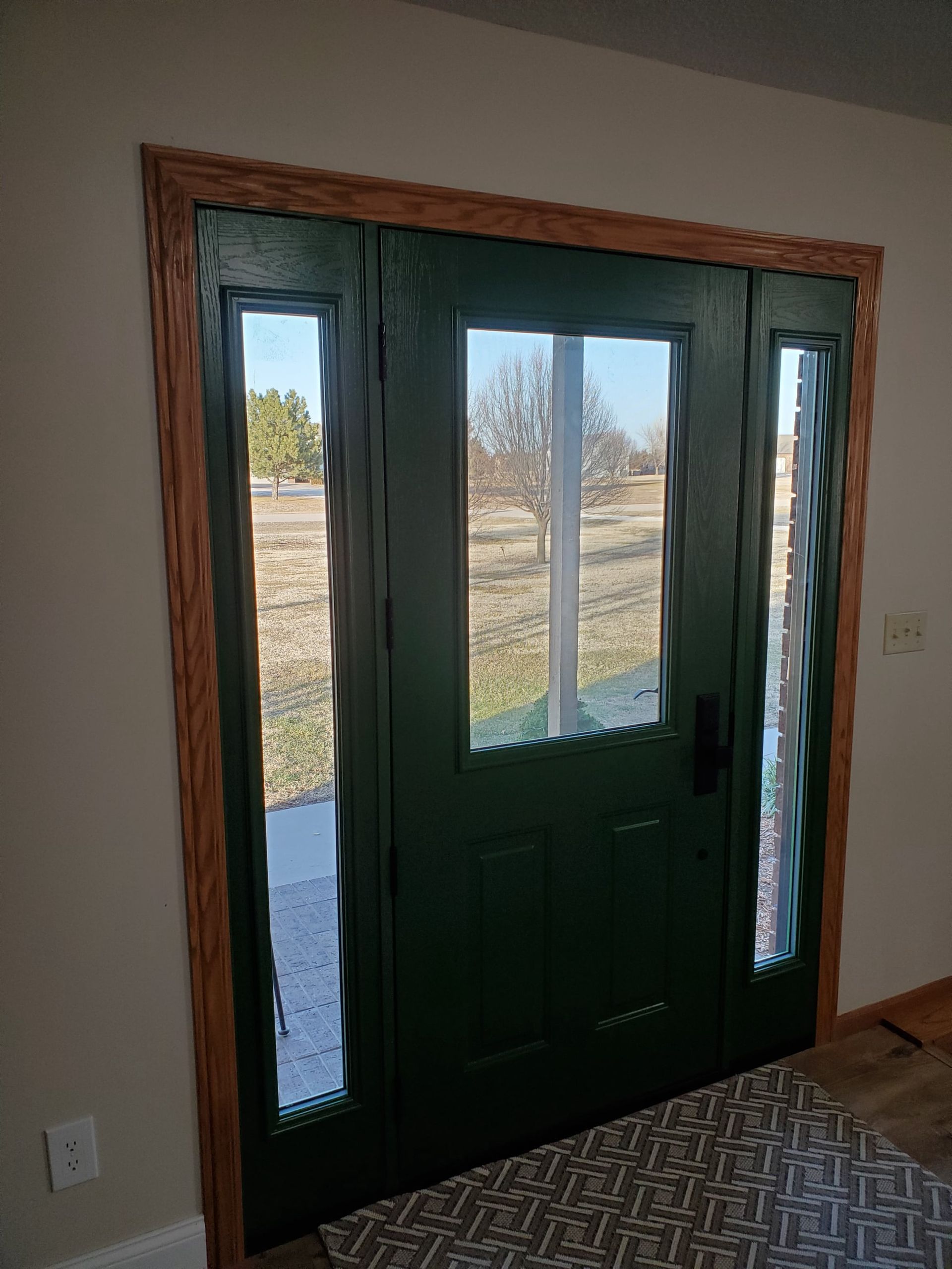 A green door with two windows in a room with a rug.