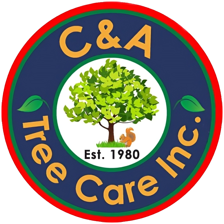 C&A Tree Care Logo