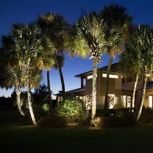 Palm trees illuminated at night, in front of a house.
