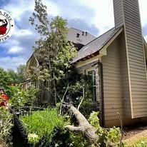 A fallen tree rests against the side of a tan house with stone accents, partly blocking a window.