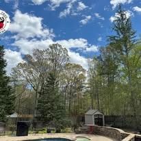 A sunny backyard with a stone-edged pool, a small shed, and a backdrop of green trees under a blue, cloudy sky.