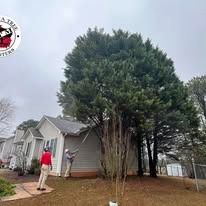 Two workers use pole saws to trim a large evergreen tree next to the side of a grey suburban house.