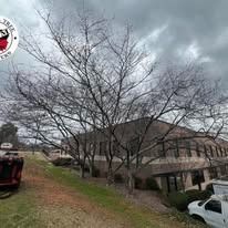 Leafless trees in front of a multi-story office building under a cloudy sky, with a white truck parked nearby.