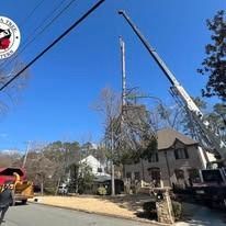 A crane lifts a large tree section near a house and a wood chipper on a sunny day.