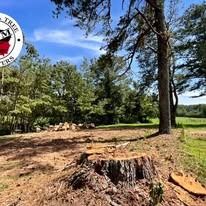 A freshly cut tree stump sits in a cleared, wooded area under a bright blue sky, with a company logo in the corner.