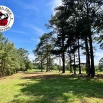 Tall pine trees border a grassy field under a bright blue sky, with a company logo in the upper left corner.