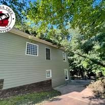 A two-story house with sage-green siding stands beside a driveway near dense trees under a clear blue sky.