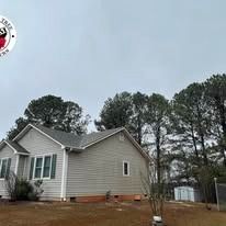 Light gray, single-story house with white trim and a brown foundation in a yard with pine trees and an outdoor shed.