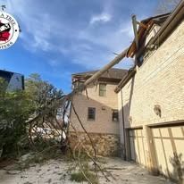 A fallen tree leans against the roof and brick wall of a two-story residential home.