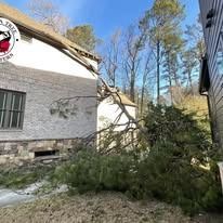 A large pine tree has fallen and is resting across the roof of a suburban house on a sunny day.
