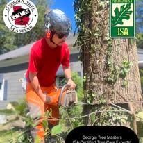 An arborist in a hard hat and orange protective gear uses a chainsaw to cut a tree limb, with company logos overlaid.