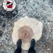 A person’s black boots standing on a large, freshly cut tree stump surrounded by wood chips, with a company logo above.