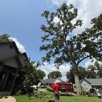 A worker stands near a fallen tree branch in a residential yard next to a house and a red utility truck.