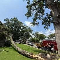 A large tree has fallen onto a house roof with a tree service truck parked on the lawn nearby.