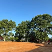 A wide dirt field sits in front of a row of large, leafy green trees under a clear blue sky.