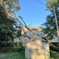 A large tree limb has fallen across a metal storage shed in a backyard, with a house visible in the background.