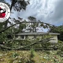 A large tree has fallen across the roof of a single-story light-colored house amidst debris and cloudy skies.