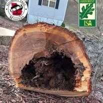 A cut log showing a large, hollow, decayed center, with company logos in the top corners against a blurred house background.