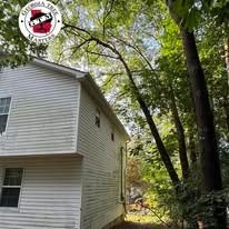 White siding of a two-story house nestled next to tall, leafy trees, with a Georgia Tree Masters logo in the corner.