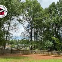 A backyard with a wooden fence, green grass, and a dense line of tall pine trees against a cloudy sky.