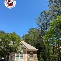 A one-story tan brick house with a gabled roof set among tall trees under a clear blue sky.