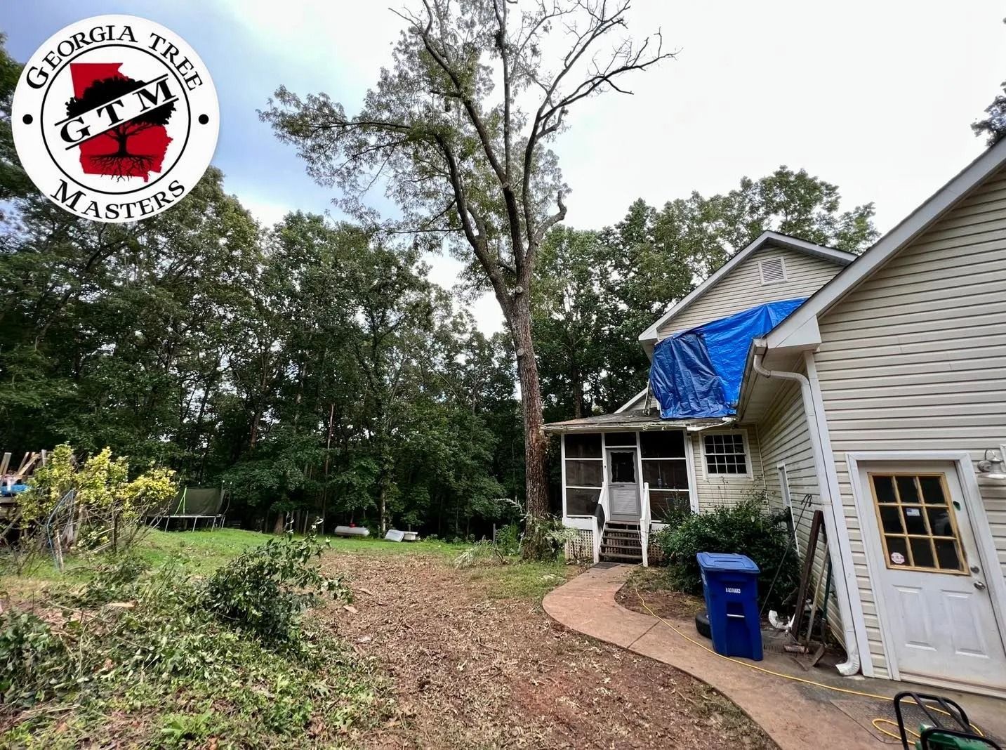 Tall tree towering over a house with a blue tarp on the roof and a Georgia Tree Masters logo in the corner.