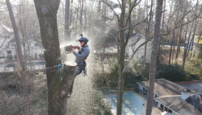 Climber in a blue helmet and harness ascending a tree on a rope course in a wooded park