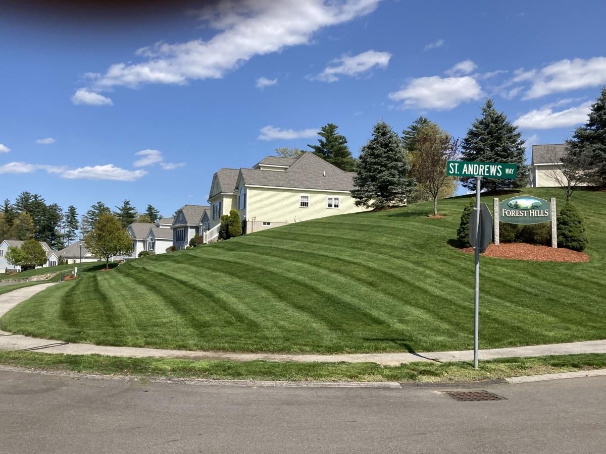 Lawn with striped pattern on a hillside, houses, trees, street sign on a sunny day.
