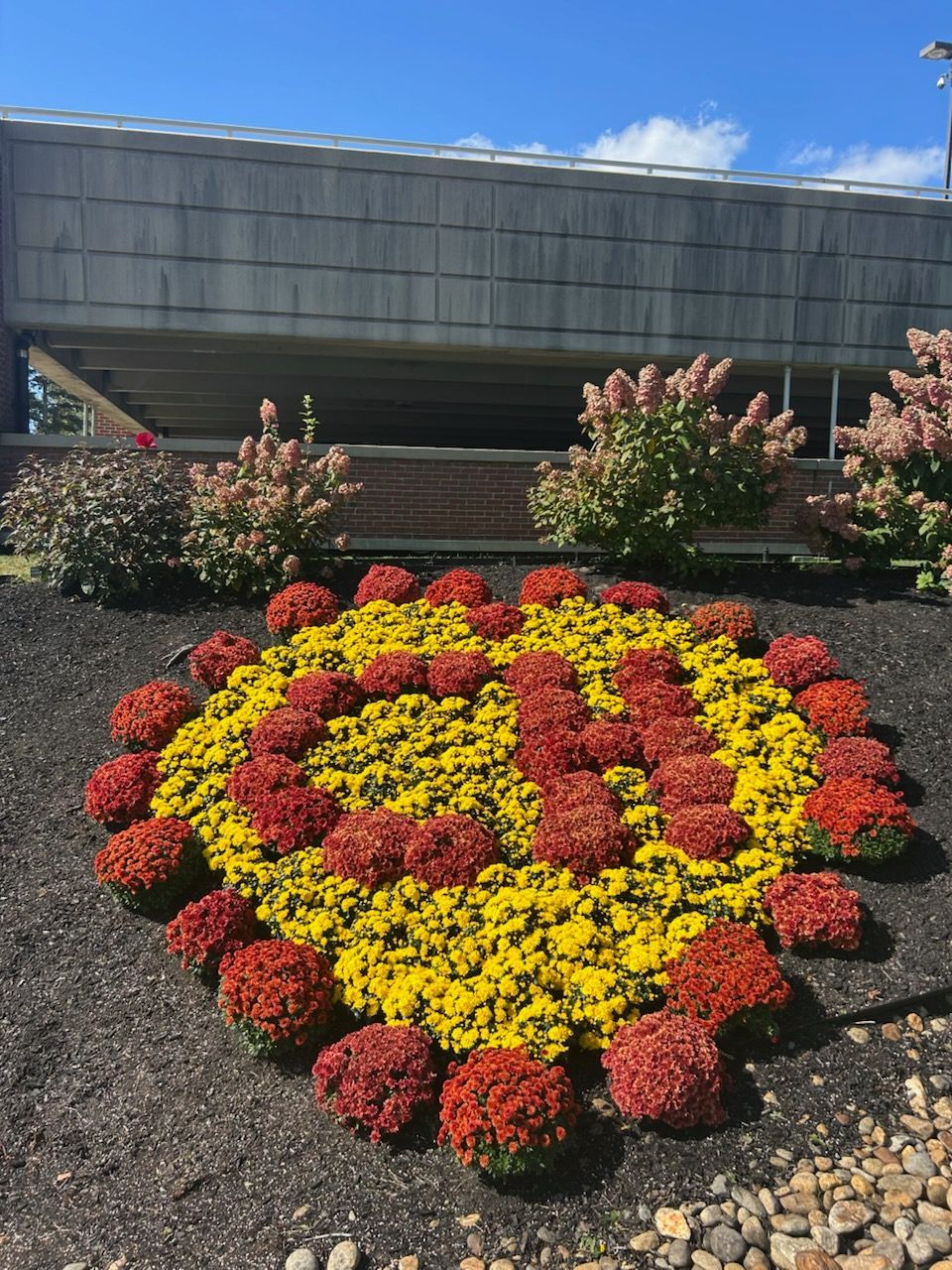Flower bed displays 