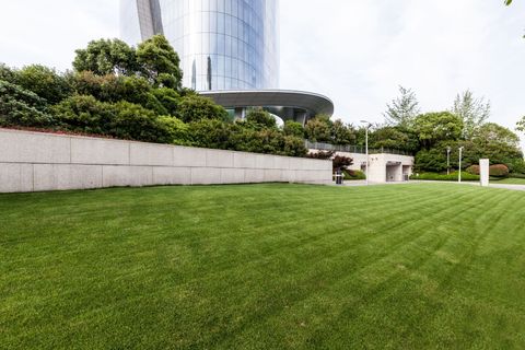 Green lawn with a low stone wall topped with green bushes, leading to a modern building.