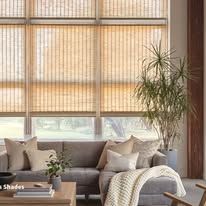 A living room with a couch , chair , table , and window shades.