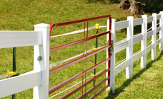 Animal gates