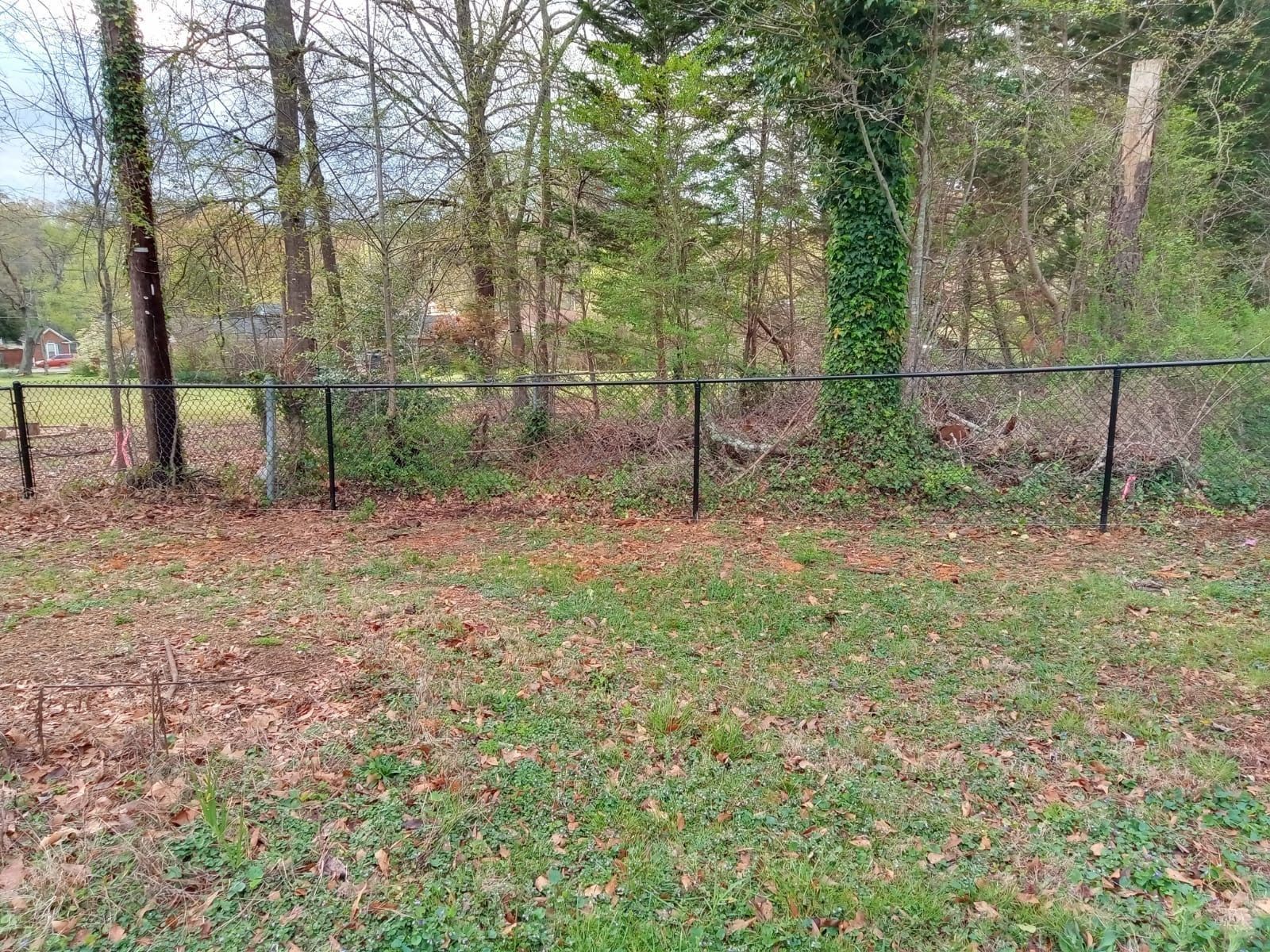 A chain link fence surrounds a grassy field with trees in the background.