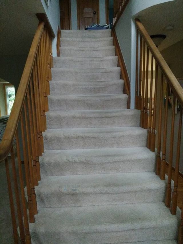 Staircase with light carpet, wooden banisters, and natural light.
