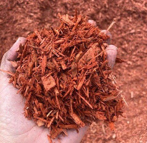 Red-dyed mulch
