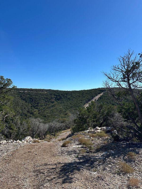 Dirt trail overlooking a green valley with trees under a blue sky.