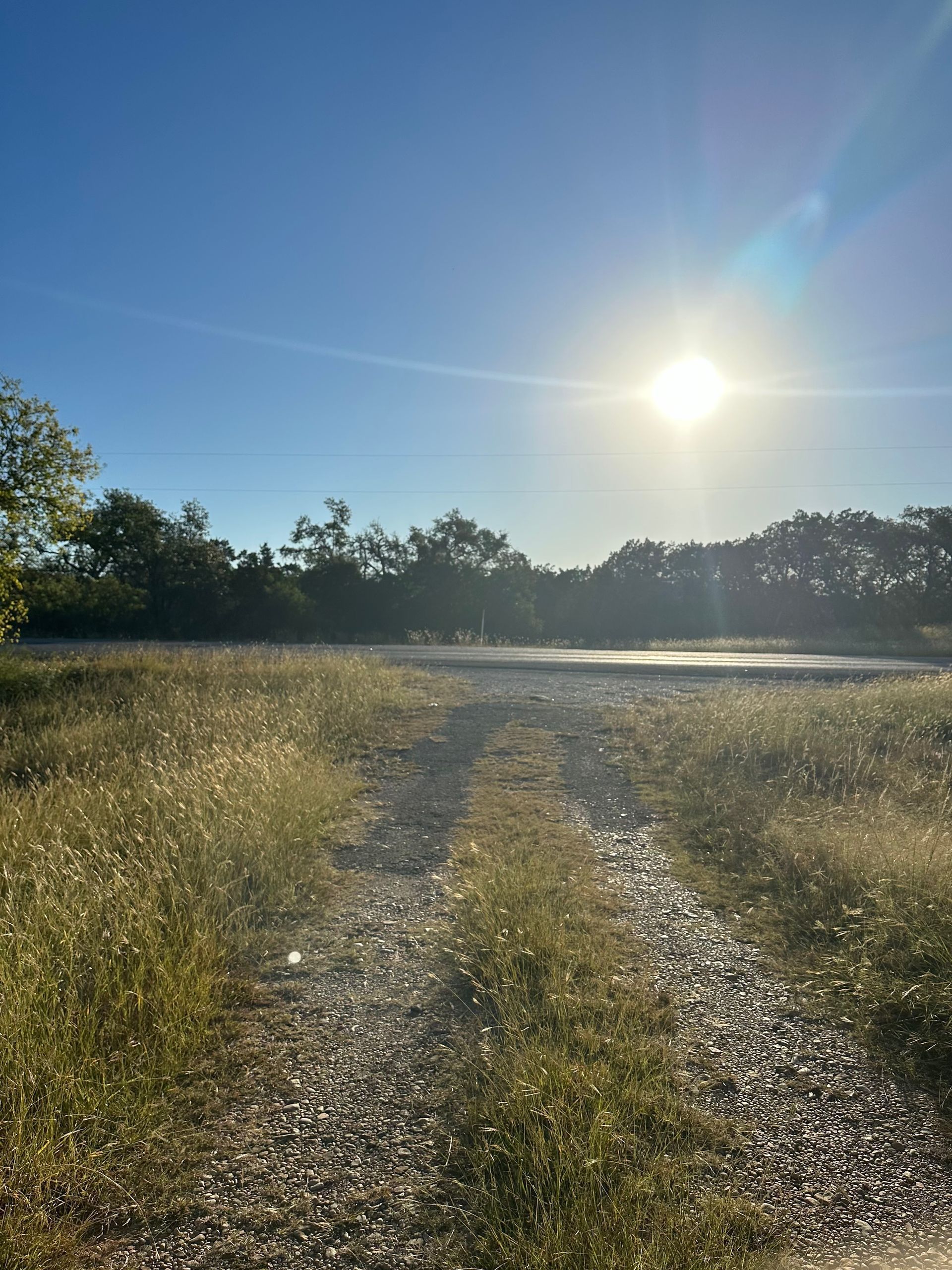 Gravel path through field, leading to bright sun and treeline under blue sky.