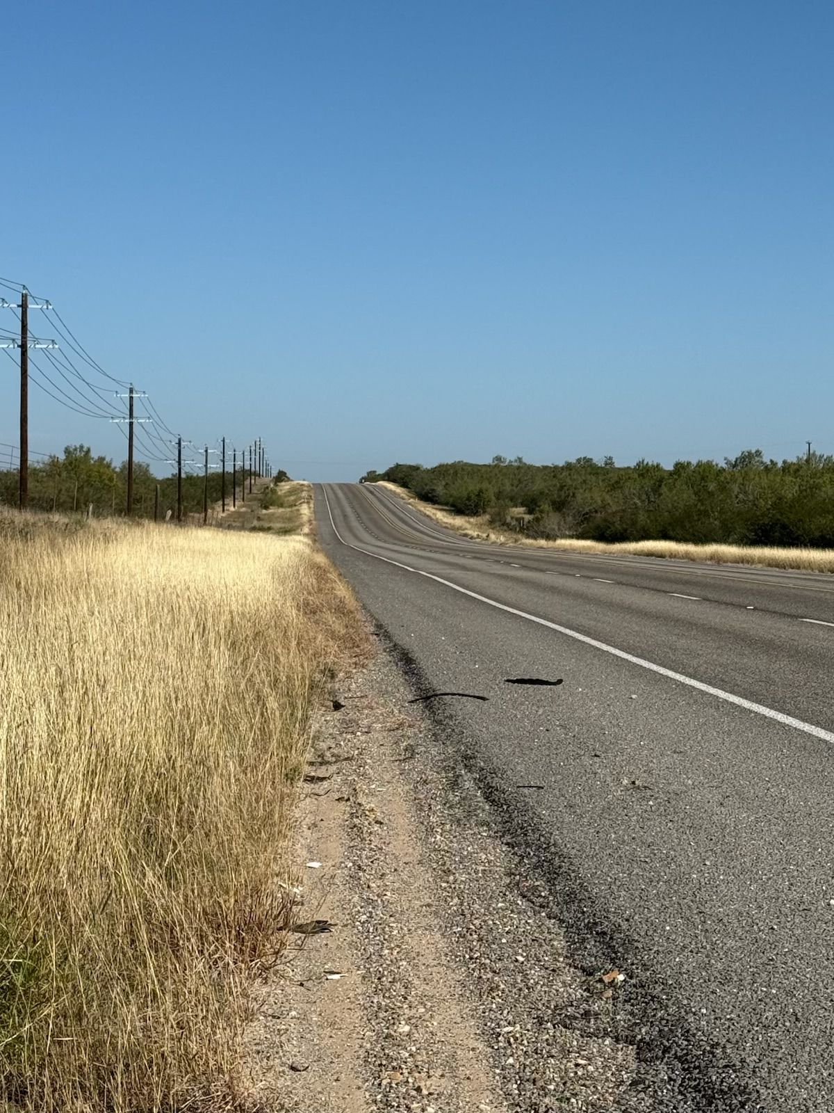 Empty road stretching into the distance under a clear blue sky, bordered by dry grass and scrub brush.