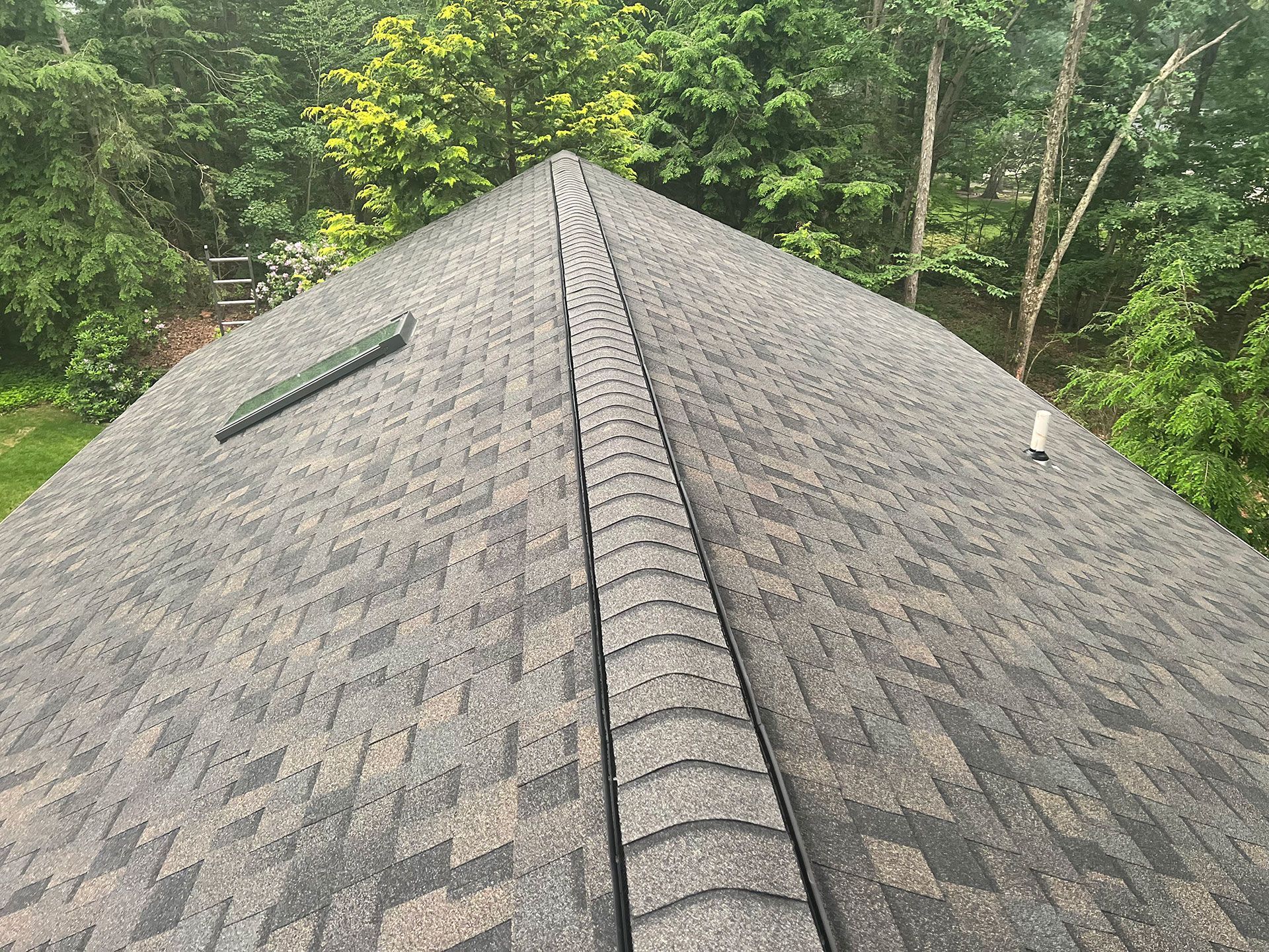 A close up of a roof with a skylight and trees in the background