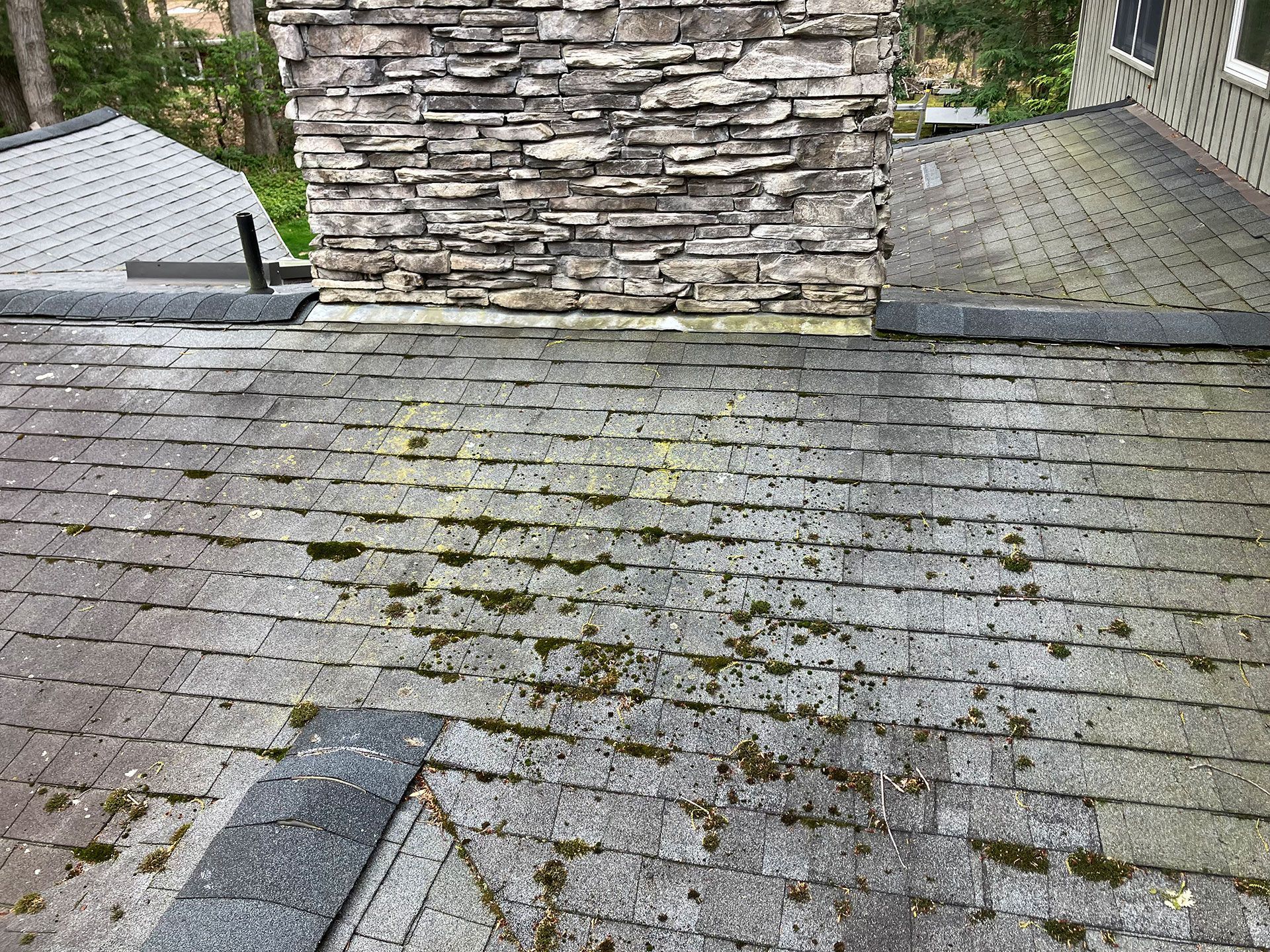 A roof with moss growing on it and a chimney in the background