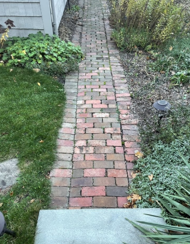 Brick path leading through a yard with green grass, plants, and a gray concrete step.