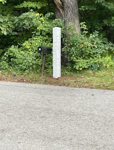 Mailbox on a post, set on the edge of a road in front of a green, leafy backdrop.