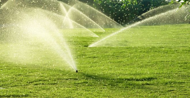 Sprinklers spraying water across a lush green lawn on a sunny day.