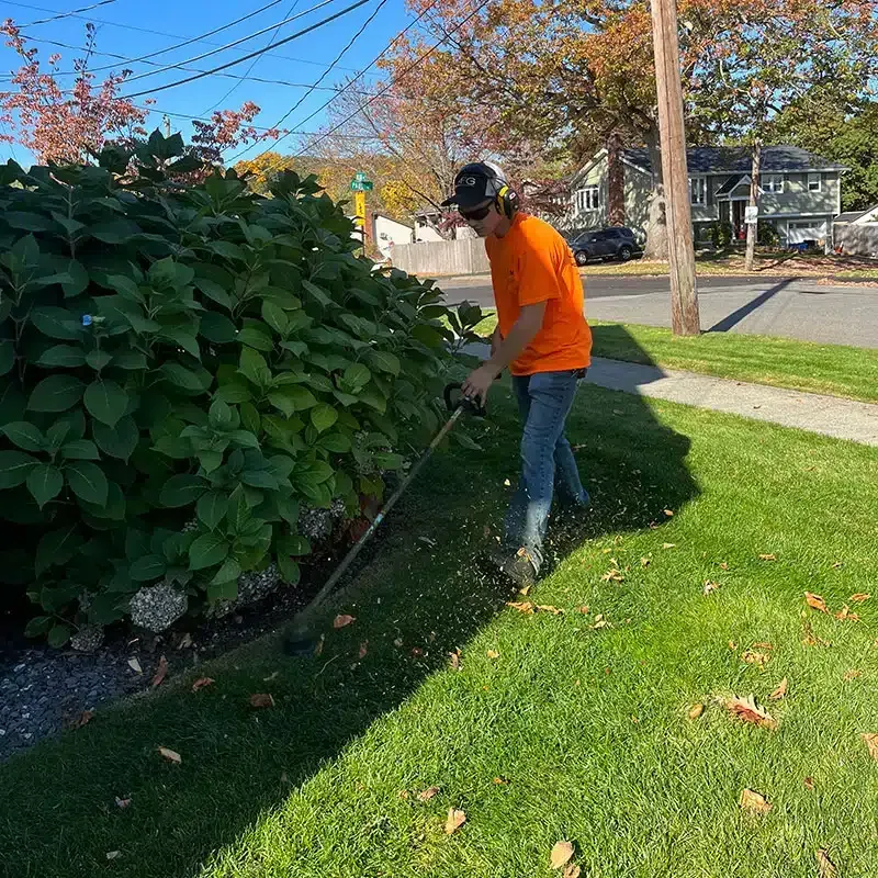 A person wearing an orange shirt and baseball cap uses a string trimmer to edge grass along a large bush in a yard.