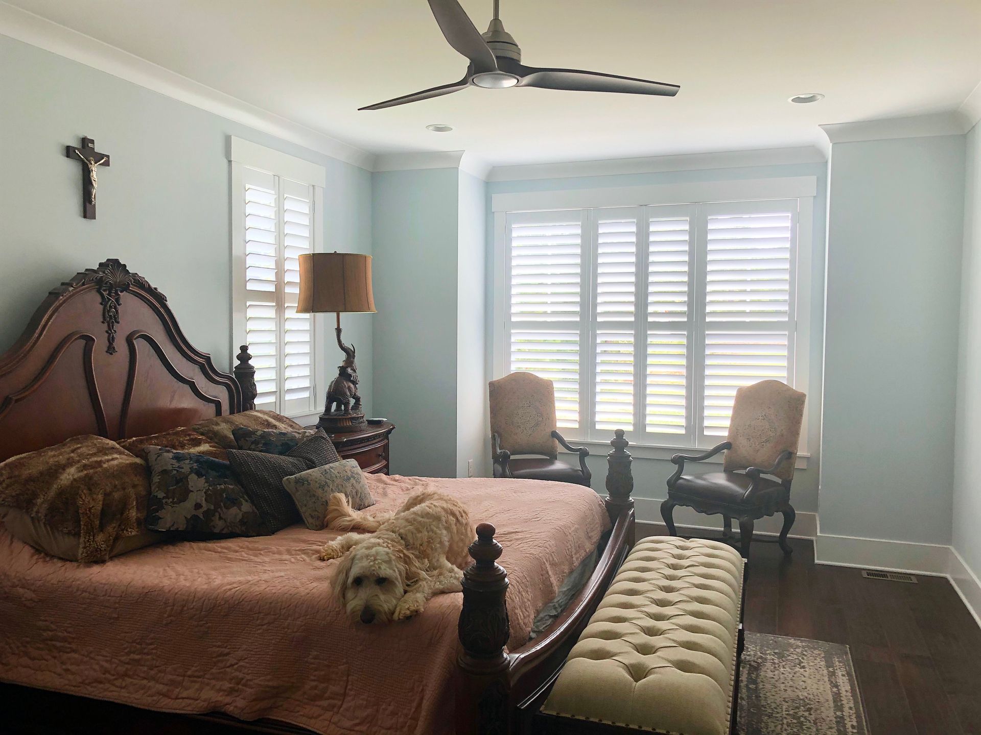 Bedroom with light blue walls, a large bed with pillows, two dogs, and window shutters.